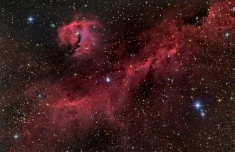 IC-2177 & NGC 2327: La Nebulosa Gaviota