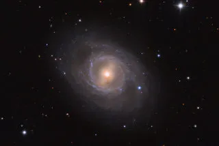 Descubierta una Supernova en M95